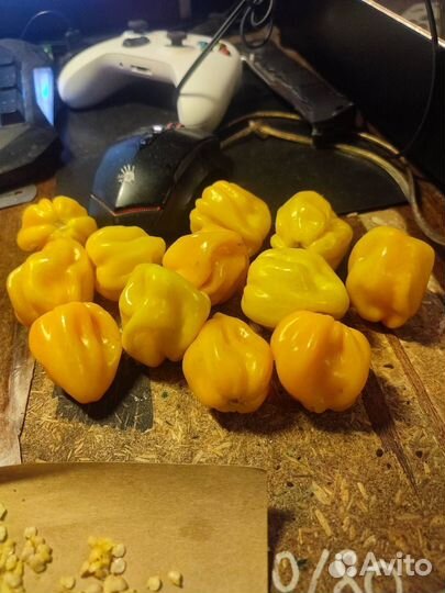 Семена острого перца Чили суперхот