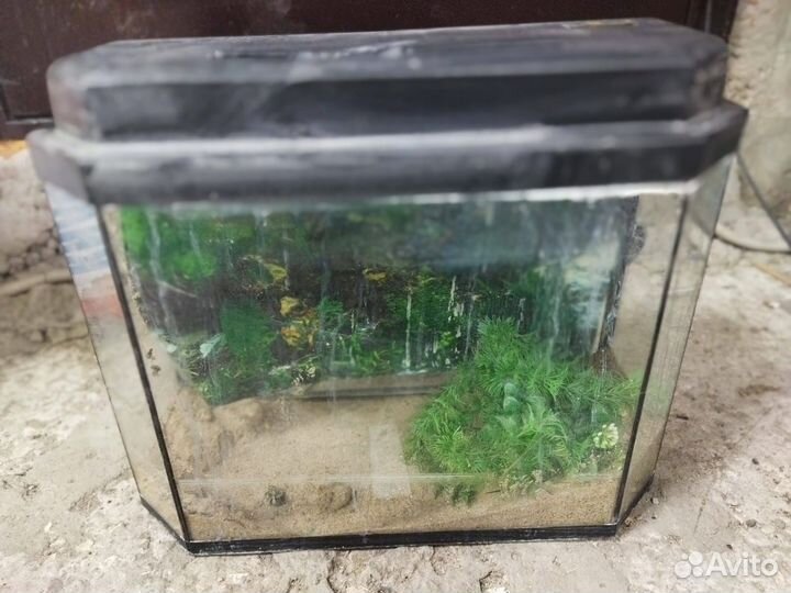 Аквариум