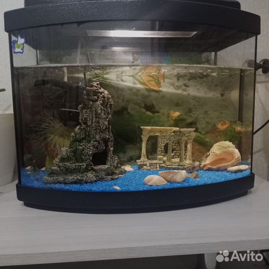 Аквариум + рыбки + фильтр + фигуры