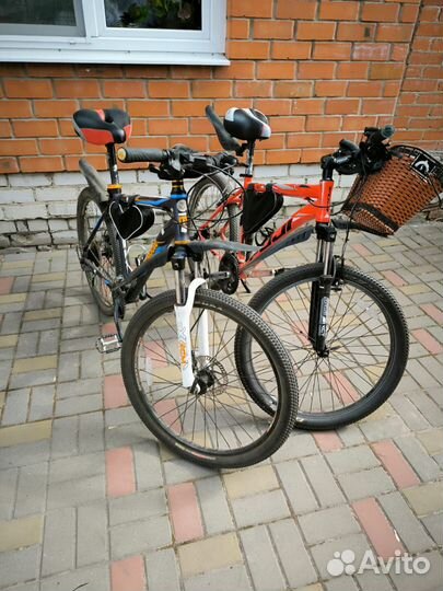 Монгуст и Фуджи