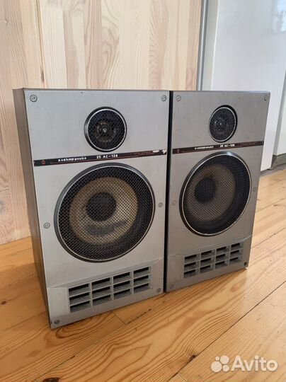 Колонки электроника 25ас - 128