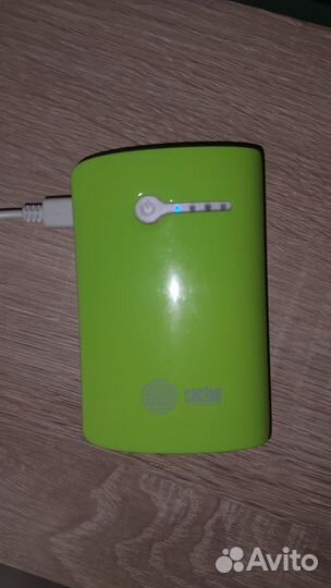 Powerbank caclus