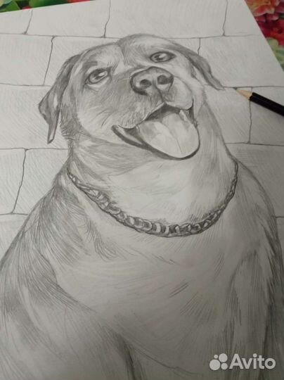 Художник иллюстратор