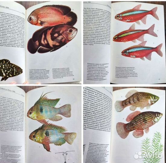 Ботанические книги, грибы, животные, рыбы
