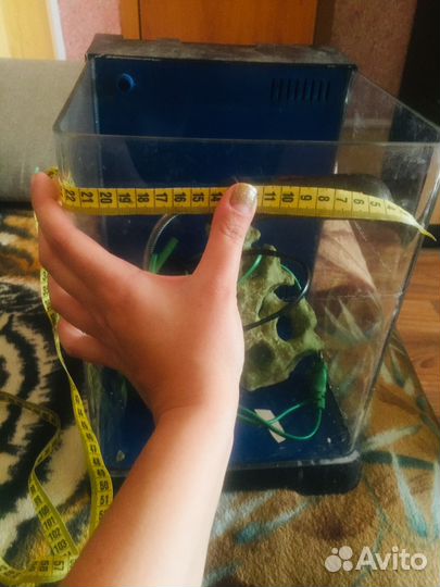 Аквариум