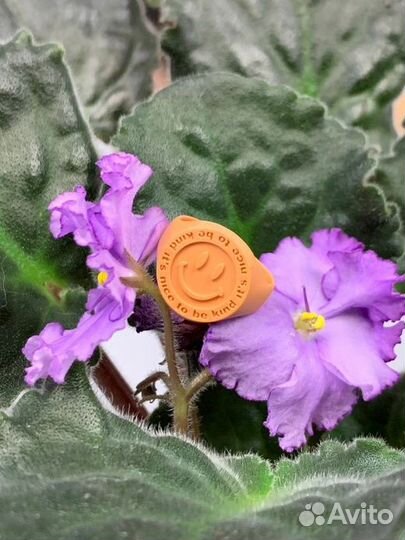 3D печать ювелирных 3Д моделей полимером Aureus