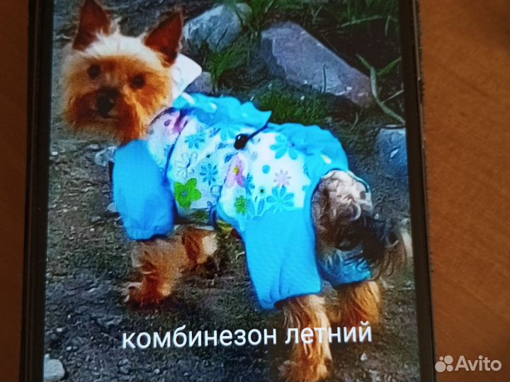 Одежда для маленьких пород собак Йорик до 3 кг