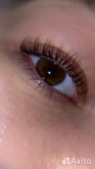 Окрашивание бровей / ламинирование ресниц и бровей