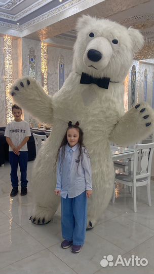 Ростовой медведь / Аэро-медведь