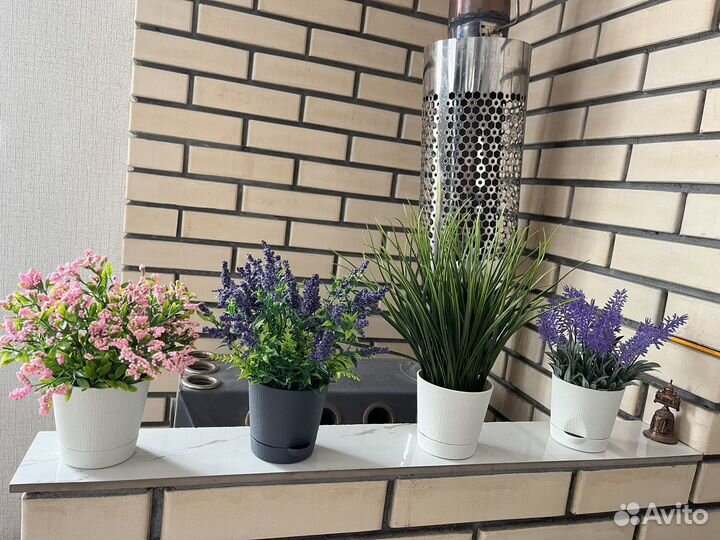 Цветы в горшках