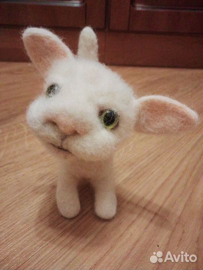 Белый котенок