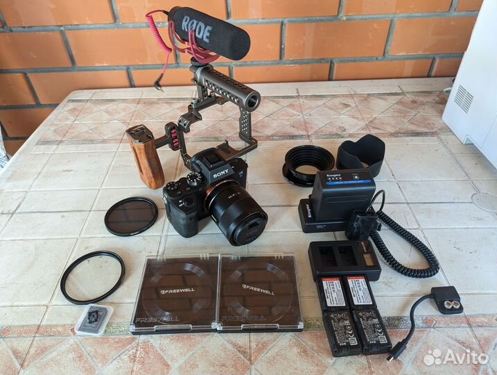 Sony A7S ii + Sony Carl Zeiss 55 1.8