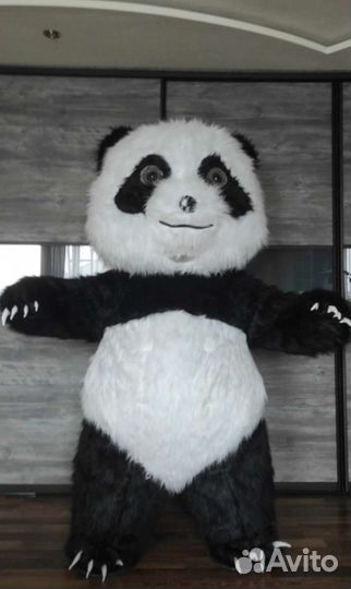 Поздравление/Доставка/Курьер, Панда, Лисичка