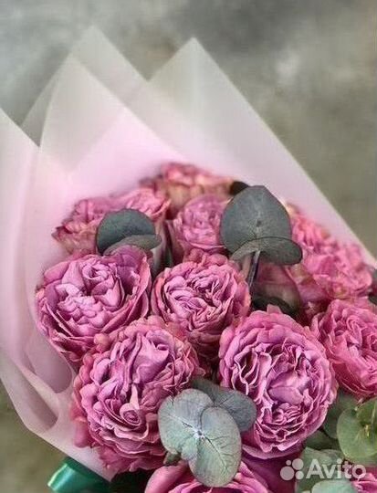 Розы Эквадор