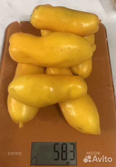 Коллекционные сорта томатов