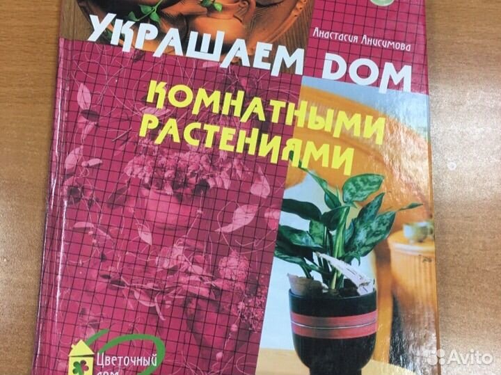 Комнатные цветы