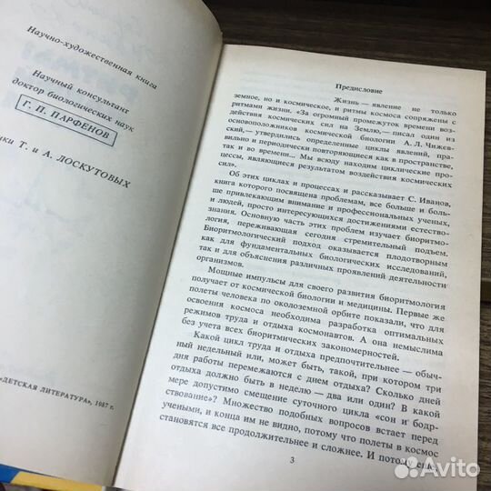 Ритм нашей жизни. Иванов 1987 год