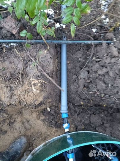 Септики Далос