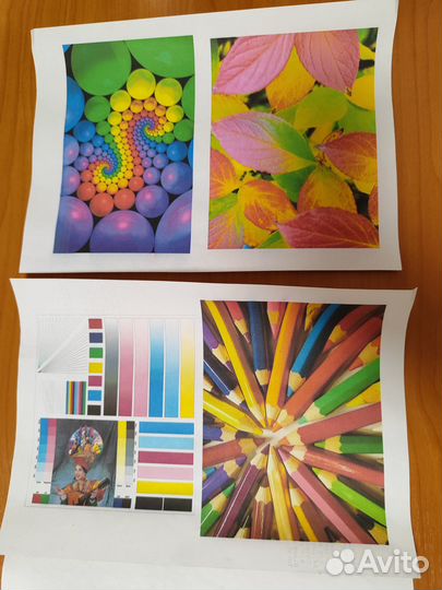 Принтер Epson L1800 А3+