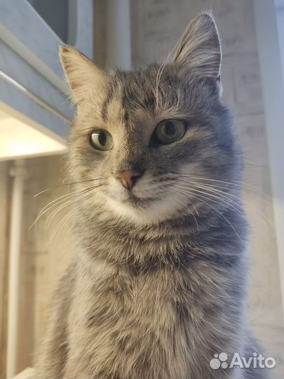 Кисуля 8 месяцев