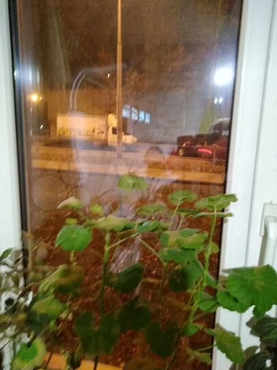 3-к. квартира, 63 м², 6/10 эт.