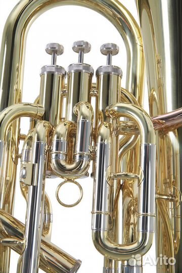 Эуфониум Roy Benson EP-302