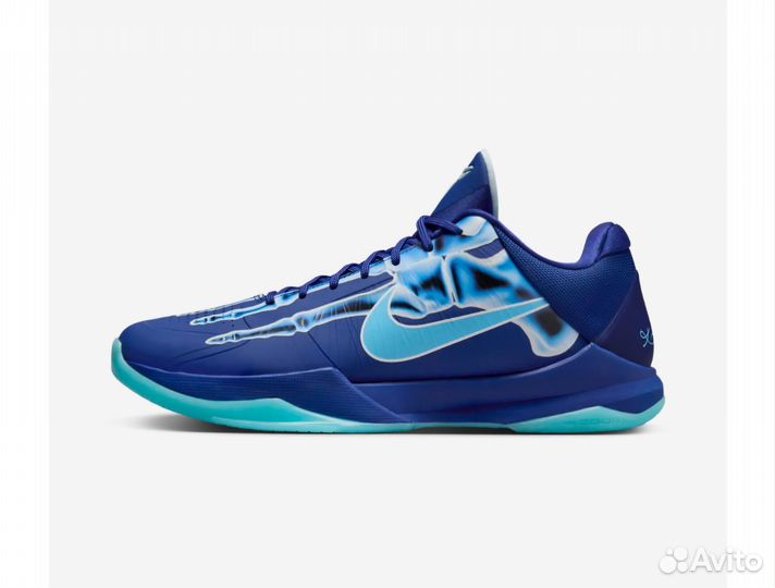 Nike kobe 5 protro x-ray /royal deep blue