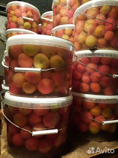 Огурцы соленые бочковые