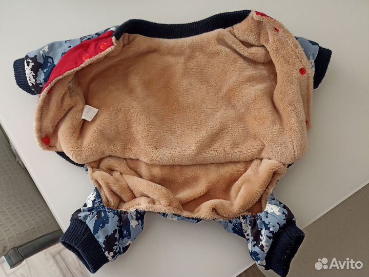 Одежда для собак мелких пород