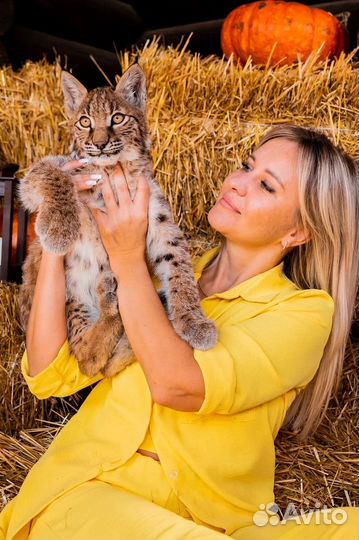 Видеограф/Фотограф Готовность за 1 день