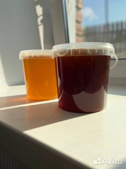 Алтайский мед оптом 2023