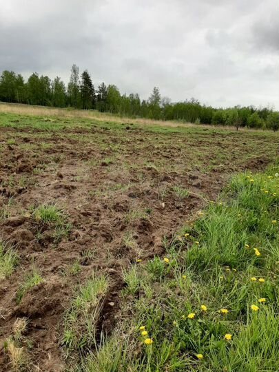 Участок 6 сот. (ИЖС)