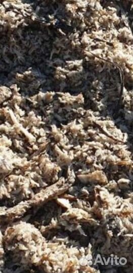 Продам жом. Свекловичный