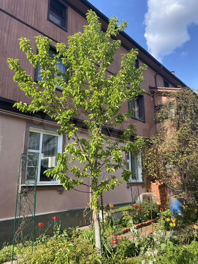 Дом 151 м² на участке 6 сот.