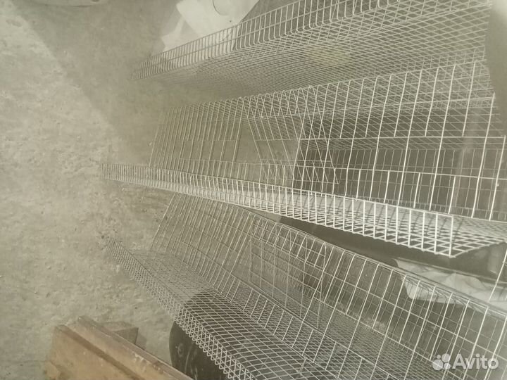 Клетки для перепелов