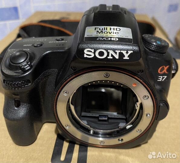 Фотоаппарат Sony Alpha SLT-A37 Body