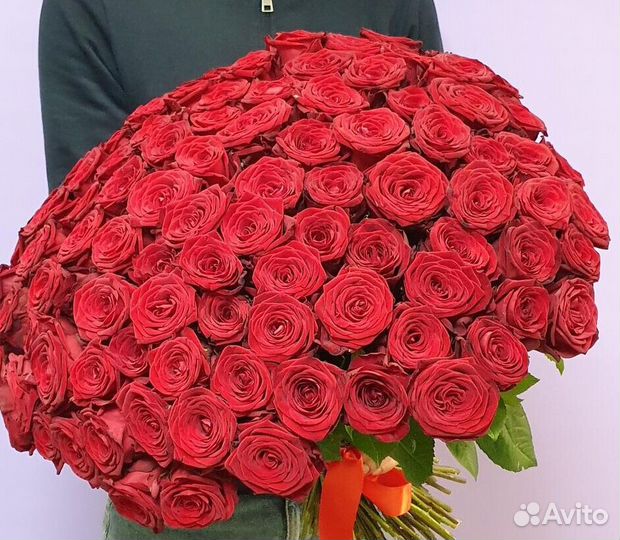 101 роза 51 роза Цветы