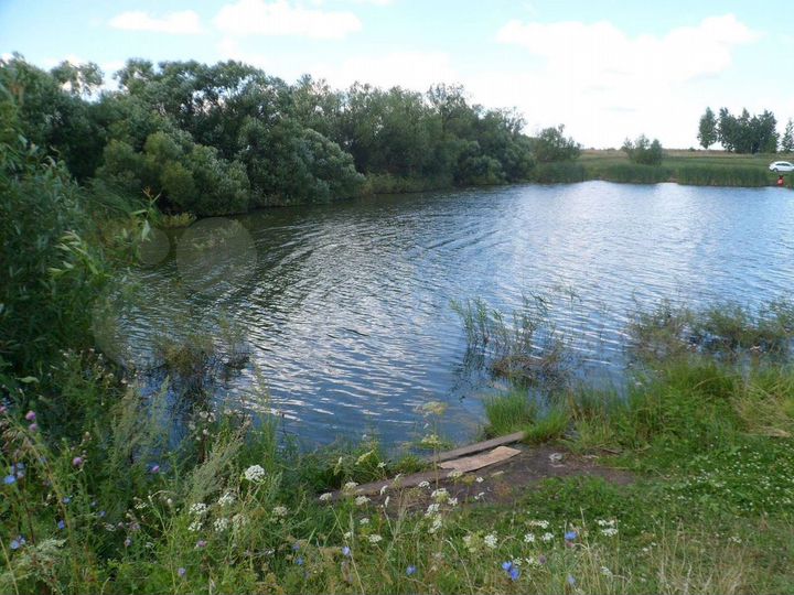 Участок 12 сот. (ИЖС)