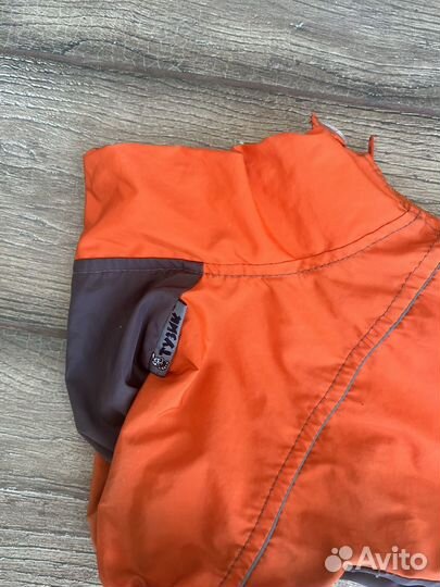 Дождевик для таксы девочки