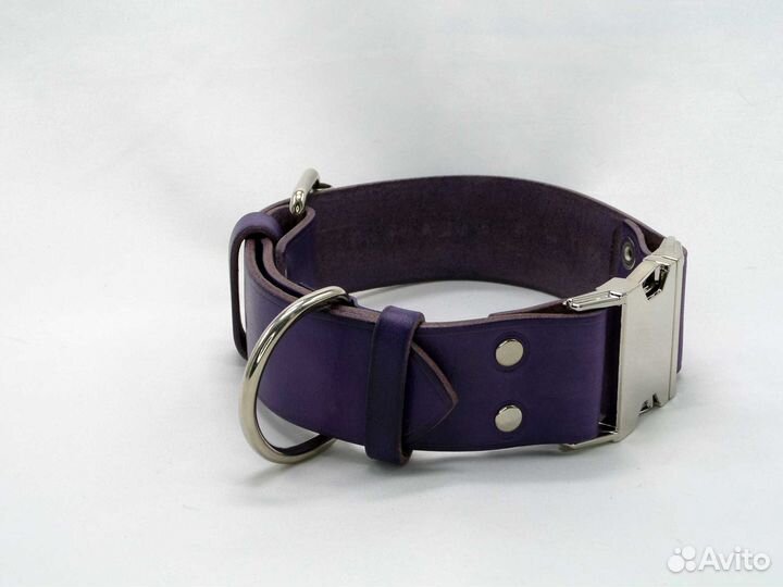 Ошейник с пряжкой фастекс