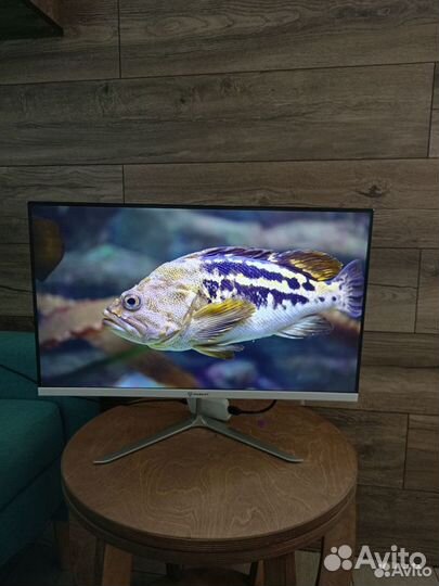 IPS Монитор 23.8 белый 100Гц 1920x1080, fullHD