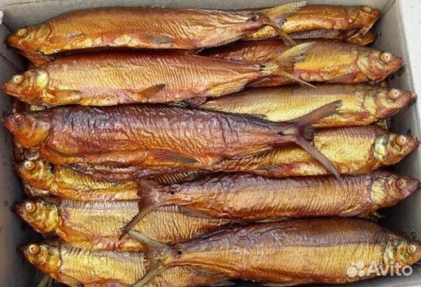 Сиг севанский горячего копчения