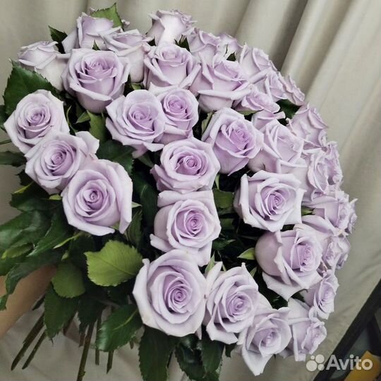 Роза Эквадор