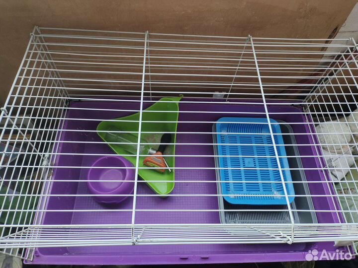 Клетка для декоративного кролика