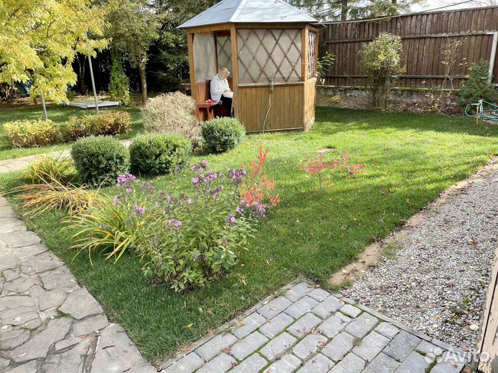 Рулонный газон для дачи и сада