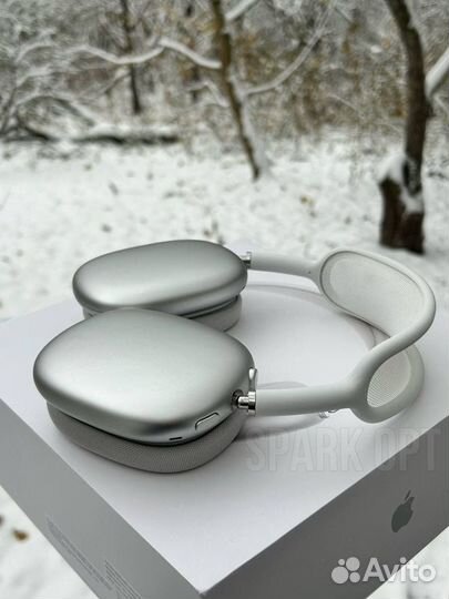 AirPods max Silver