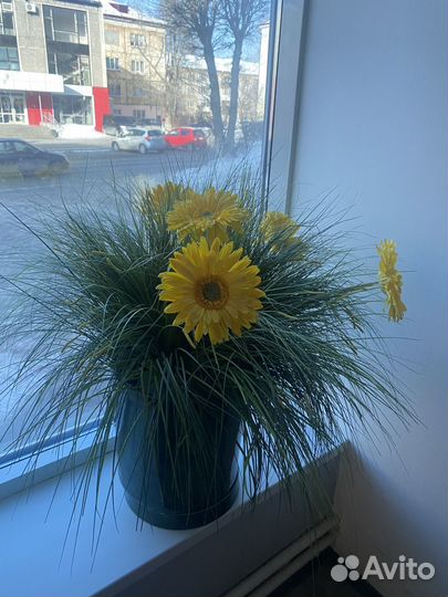 Большой цветочный горшок