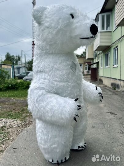 Проздравление от белого мишки, аэромедведь