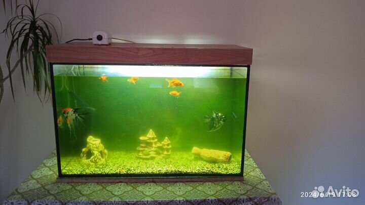 Аквариум