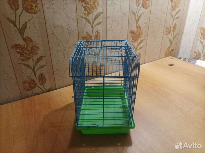 Клетка для грызунов 2 шт. Детям бесплатно